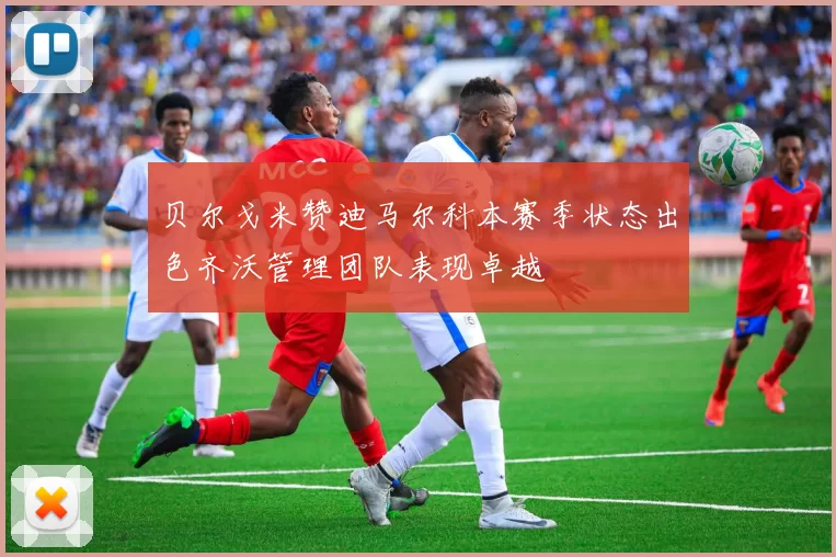 贝尔戈米赞迪马尔科本赛季状态出色齐沃管理团队表现卓越